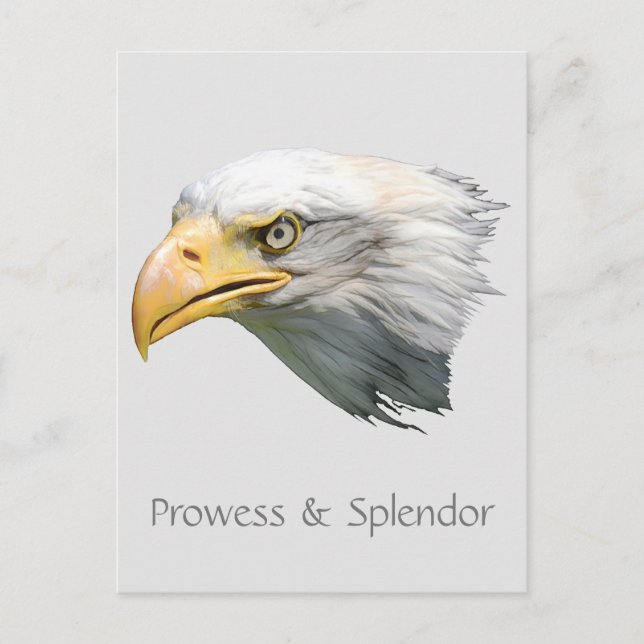Bald Eagle Prowess & Splendor anpassbar Postkarte (Vorderseite)