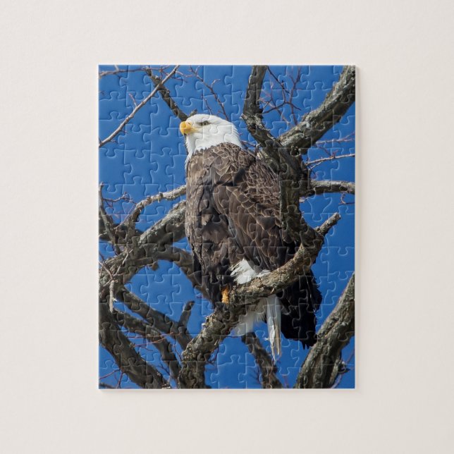 Bald Eagle Puzzle (Vertikal)