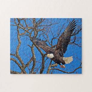 Bald Eagle Puzzle