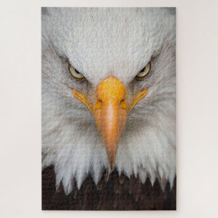 Bald Eagle Puzzle