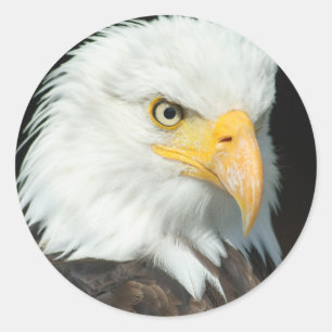 Bald Eagle Runder Aufkleber