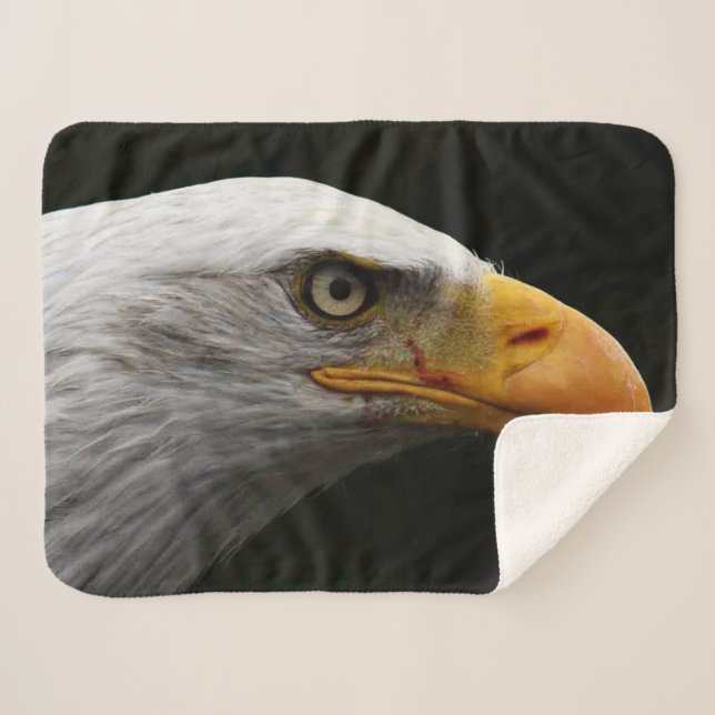 Bald Eagle sbcna Sherpadecke (Vorderseite (Horizontal))