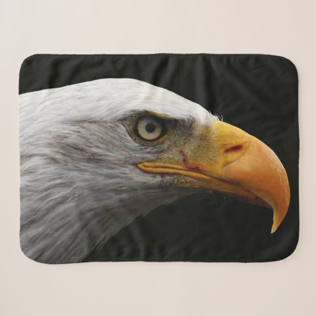 Bald Eagle sbcnm Sherpadecke (Vorderseite (Horizontal))