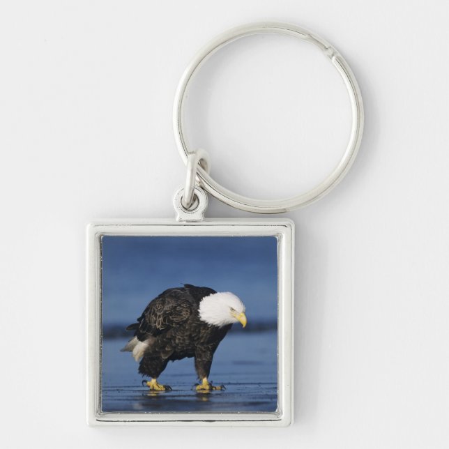 Bald Eagle Schlüsselanhänger (Vorne)