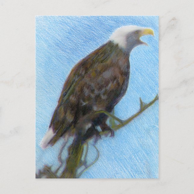 Bald Eagle Screaming in a Tree Postkarte (Vorderseite)