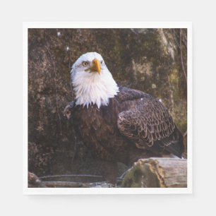 Bald Eagle Serviette