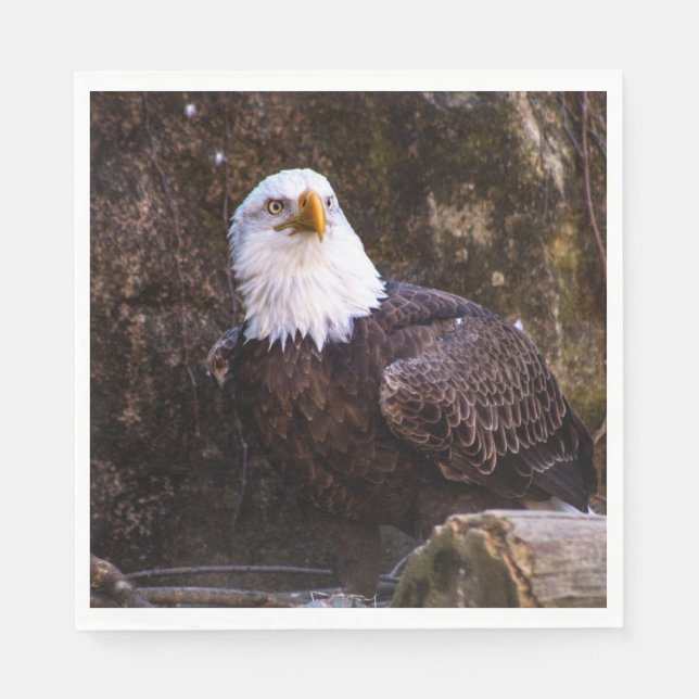 Bald Eagle Serviette (Vorderseite)