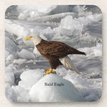 Bald Eagle Set von 6 Untersetzer aus Kunststoff