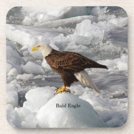 Bald Eagle Set von 6 Untersetzer aus Kunststoff