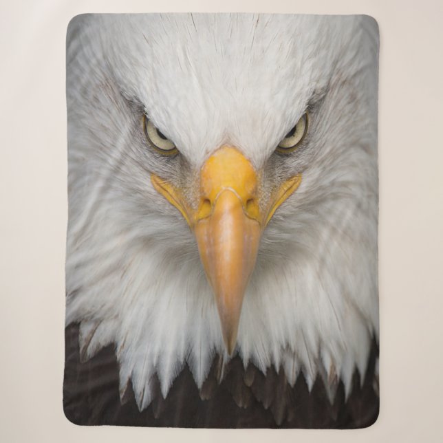 Bald Eagle Sherpadecke (Vorderseite)
