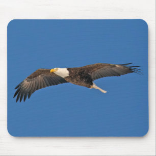 Bald Eagle Sky High Mousepad
