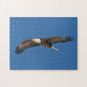 Bald Eagle Sky High Puzzle