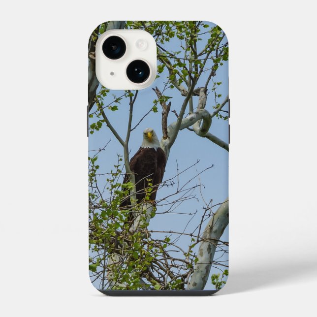 Bald Eagle Smile iPhone Case Hülle (Rückseite)