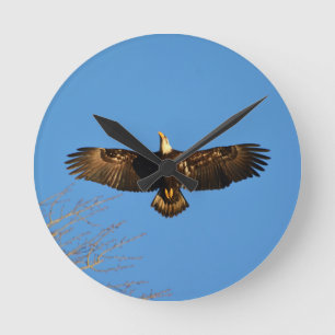 Bald Eagle Soaring1 Runde Wanduhr