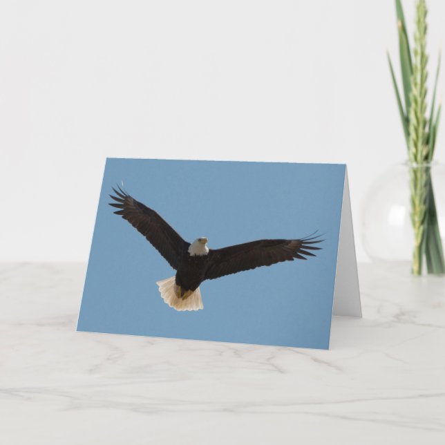 Bald Eagle Soaring-Framework Art Card Karte (Vorderseite)