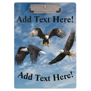 Bald Eagle Soaring Klemmbrett