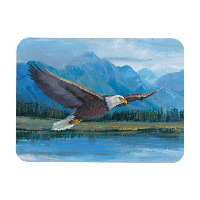 Bald Eagle Soaring Magnet (Horizontal)