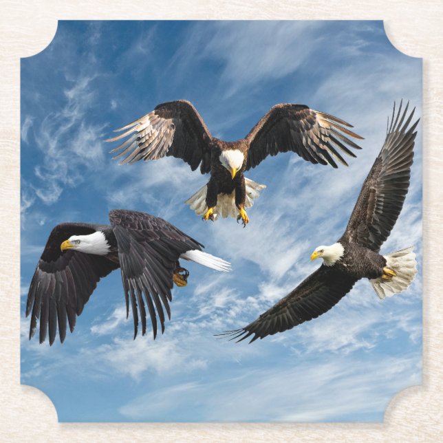 Bald Eagle Soaring Untersetzer (Vorderseite)
