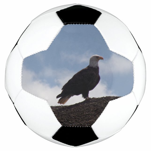 Bald Eagle Soccer Ball (Vorderseite)