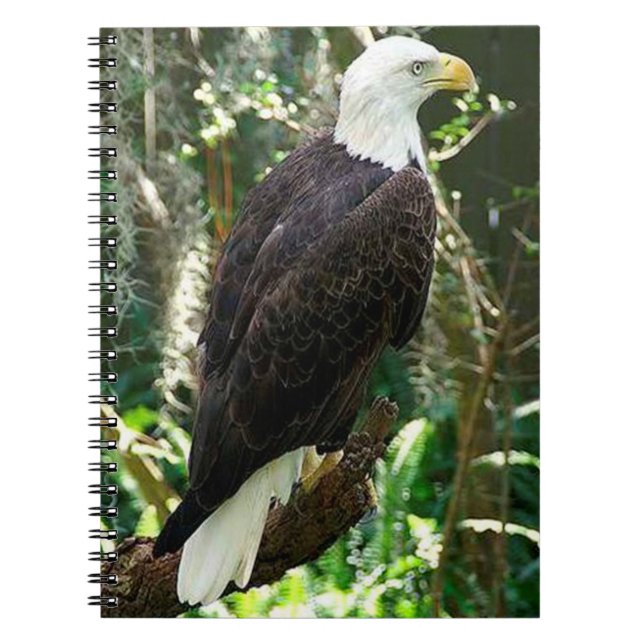 Bald Eagle Spiral Foto Notebook Notizblock (Vorderseite)