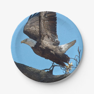 Bald Eagle startet Pappteller