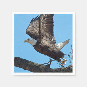 Bald Eagle startet Serviette