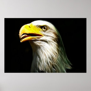 Bald Eagle Stromleuchter Poster