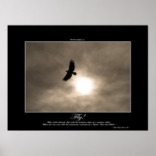 Bald Eagle & Sun Foto Poster