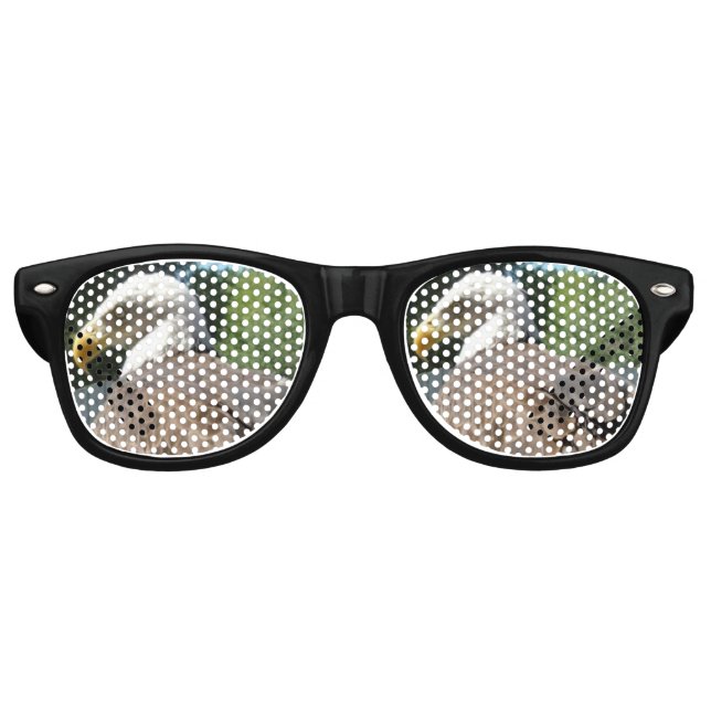 Bald Eagle Sunglasses Sonnenbrille (Vorderseite)