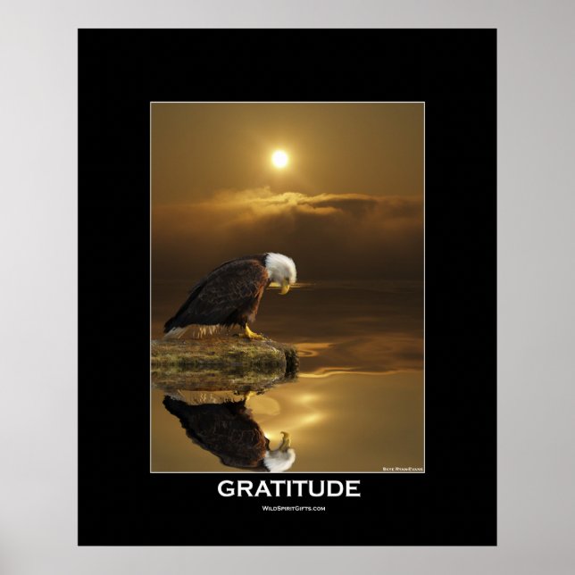 Bald Eagle & Sunlight Poster (Vorne)