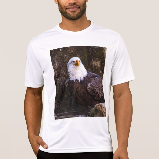 Bald Eagle T - Shirt (Vorderseite)