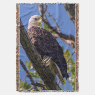 Bald Eagle Throw Blanket Decke