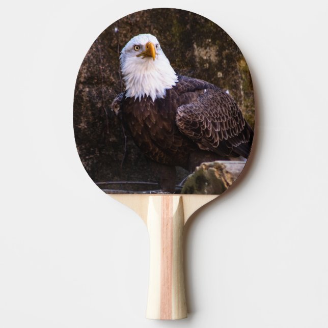 Bald Eagle Tischtennis Schläger (Vorderseite)