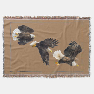 Bald Eagle Triple Flight Decke