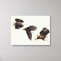 Bald Eagle Triple Flight