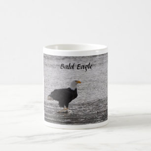 Bald Eagle über Lachs Tasse