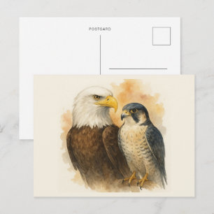 Bald Eagle und Peregrine Falknerei - Falconeria Lo Postkarte