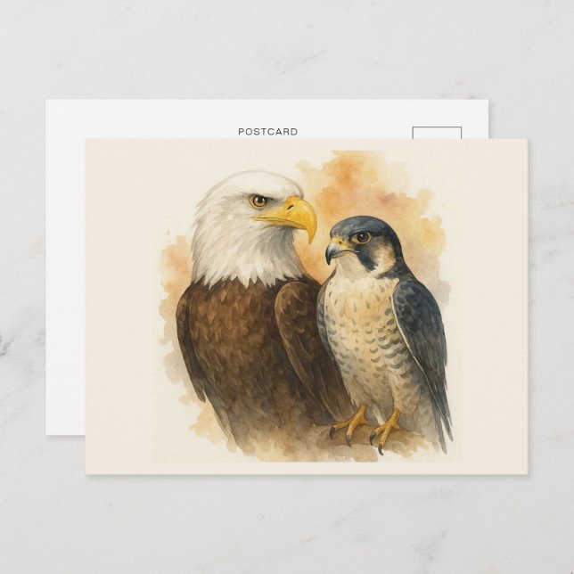 Bald Eagle und Peregrine Falknerei - Falconeria Lo Postkarte (Vorne/Hinten)