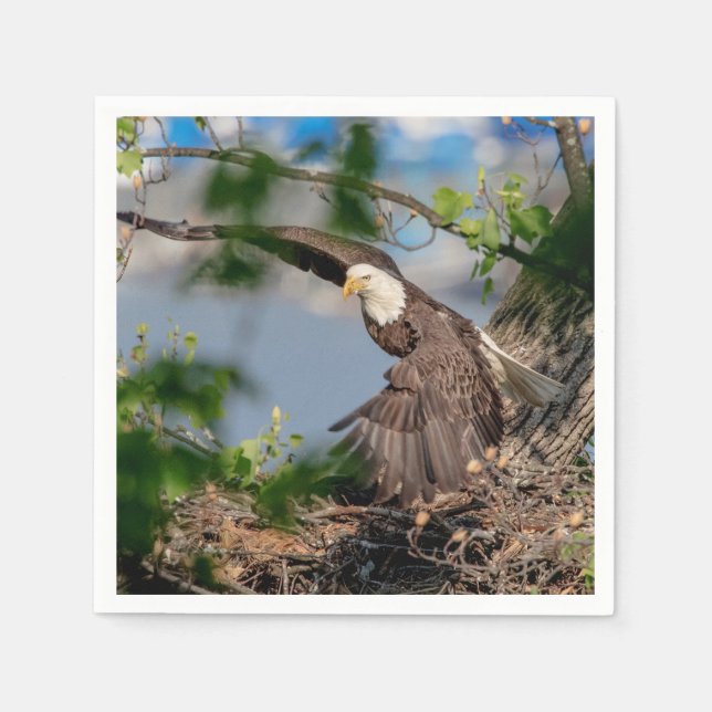 Bald Eagle verlassend Nest Serviette (Vorderseite)