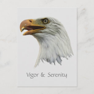 Bald Eagle Vigor & Serenity anpassbar Postkarte