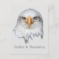 Bald Eagle Vitality & Buoyancy anpassbar