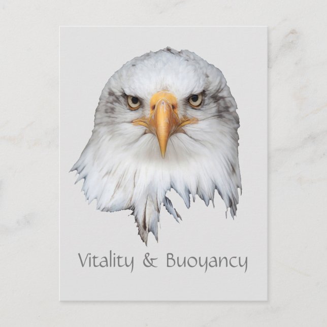 Bald Eagle Vitality & Buoyancy anpassbar Postkarte (Vorderseite)