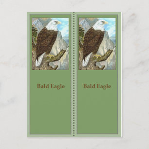 Bald Eagle Vogelbeobachtung Lesezeichen Postkarte