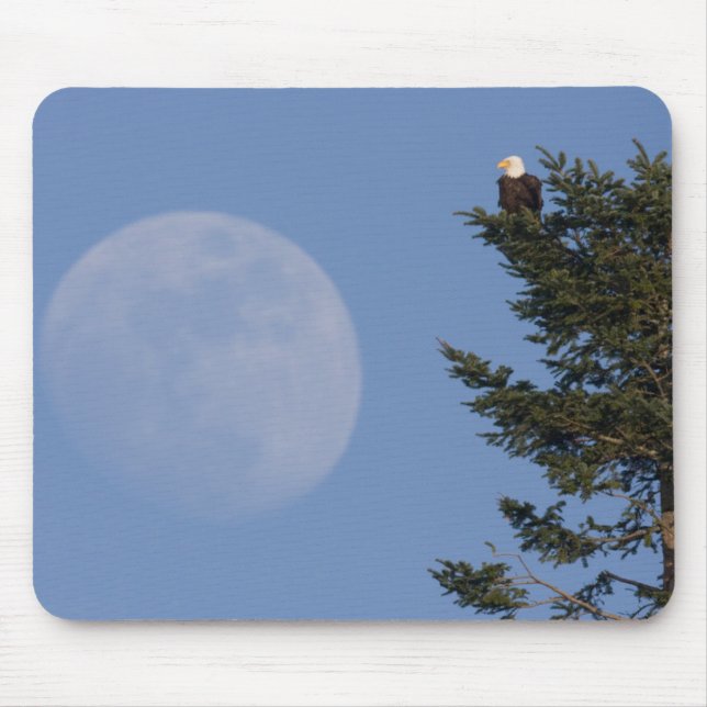 Bald Eagle | Vollmond ansteigen Mousepad (Vorne)