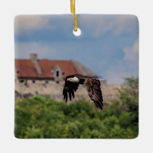 Bald Eagle vorbei an Fort Ticonabweicha Keramikornament