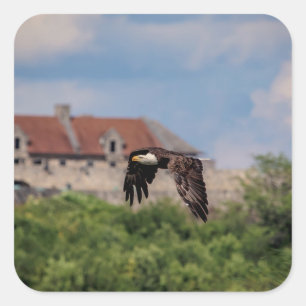 Bald Eagle vorbei an Fort Ticonabweicha Quadratischer Aufkleber
