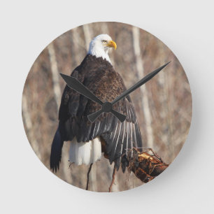 Bald Eagle Wall Clock Runde Wanduhr