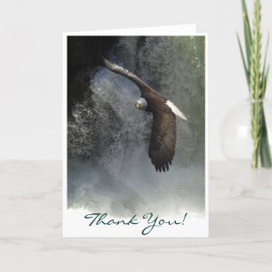 BALD EAGLE & WATER FALL Thank You Card Dankeskarte