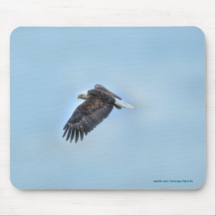Bald Eagle Wildife Foto 4 Mousepad