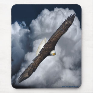 Bald Eagle Wildife Foto 5 Mousepad